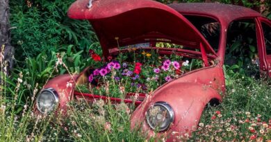 Spring Cleaning? Upcycle Old Crafts!