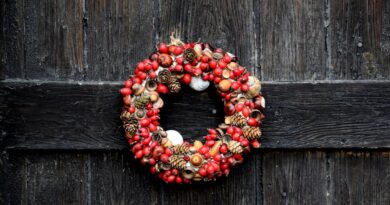 Crafting Seasonal Wreaths for Your Door