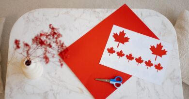 Celebrate Independence Day with Crafts